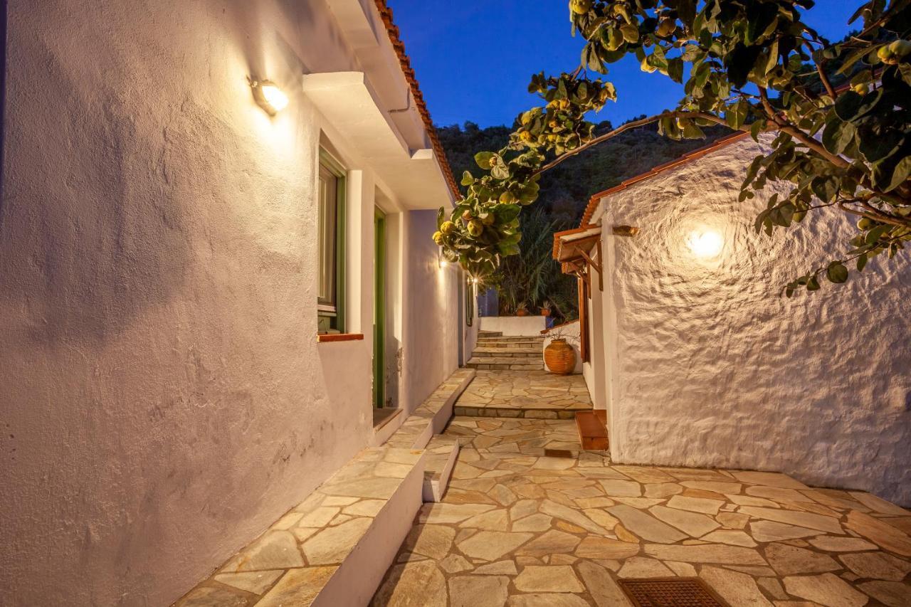 Olea Skopelos Villas With Swimming Pools & Sea View Panormos  Exterior photo